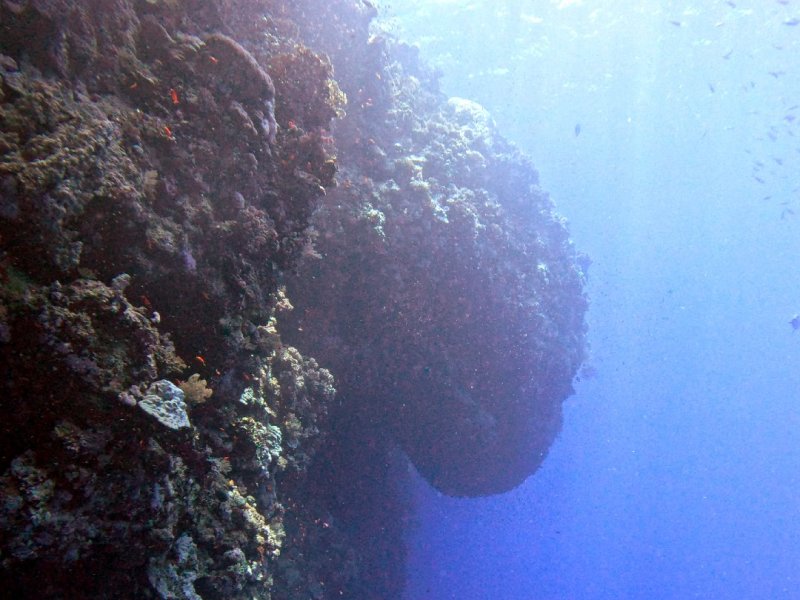 Divesite Image