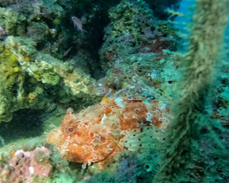 Divesite Image