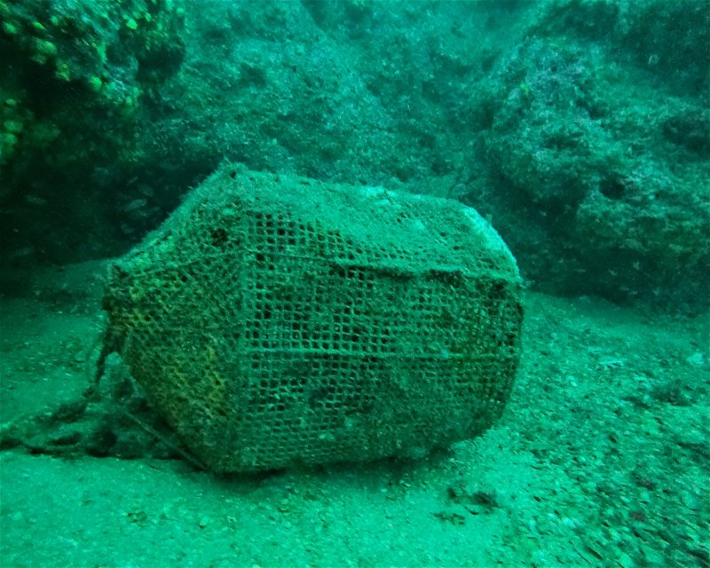 Divesite Image