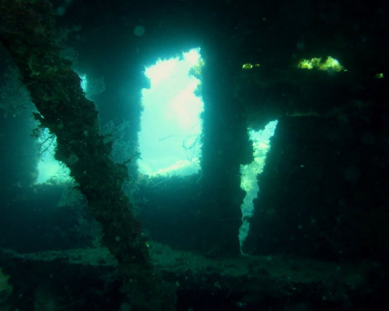 Divesite Image