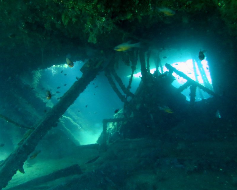 Divesite Image