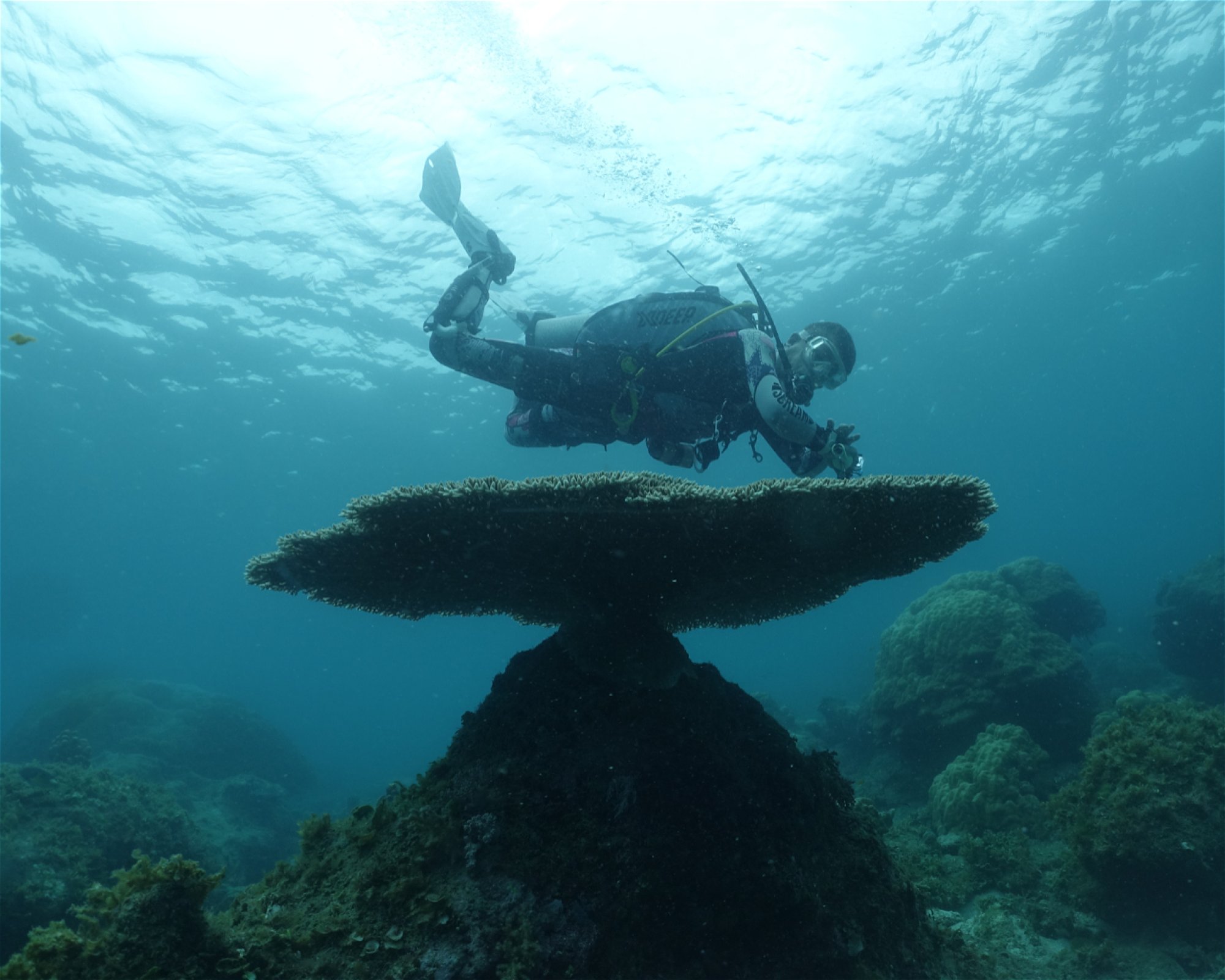 INSTRUMENT DIVE ADVENTURE, 17111 Bekasi Timur