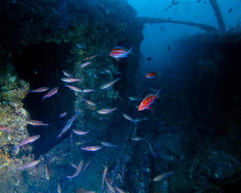 Divesite Image