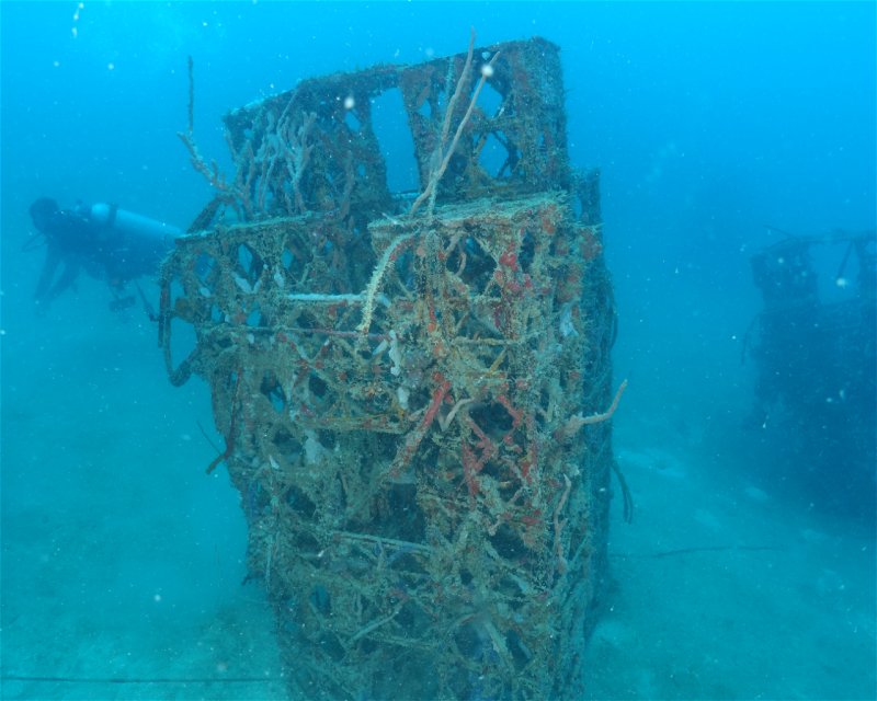 Divesite Image