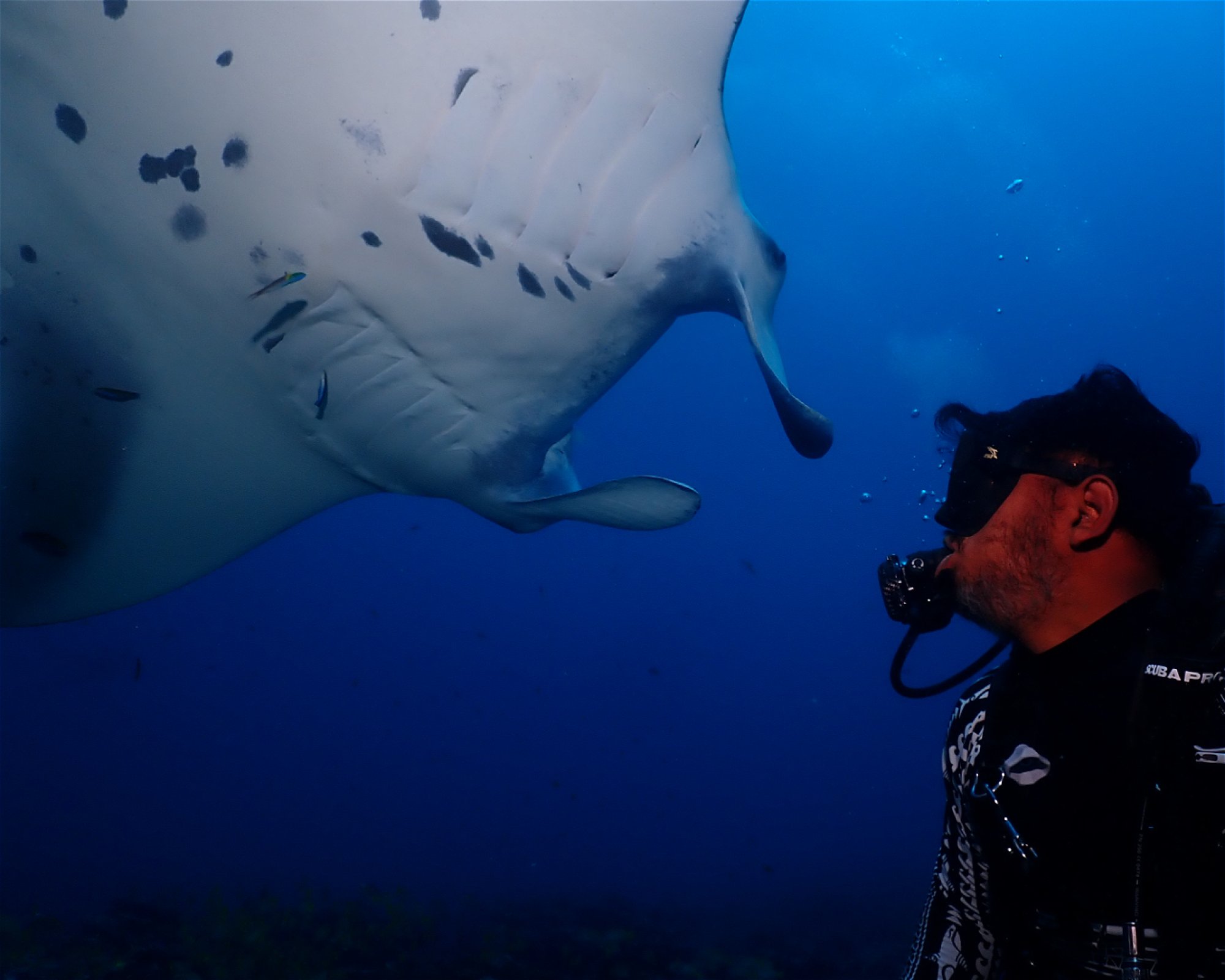 Dive Mission Joy, 08080 K. kasanfaru Lagoon