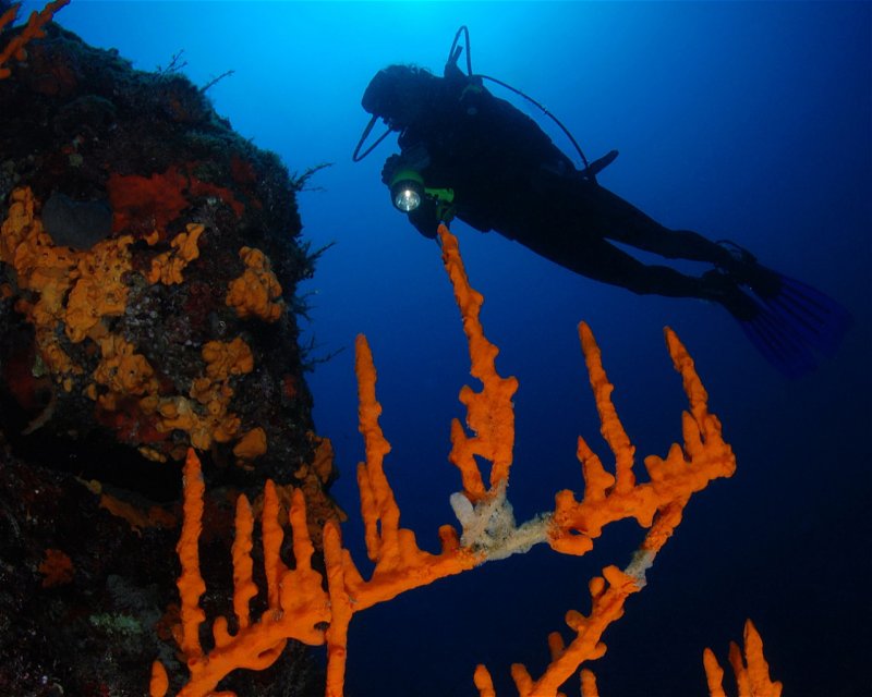 Divesite Image