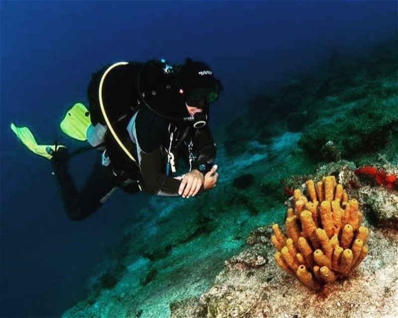 Divesite Image