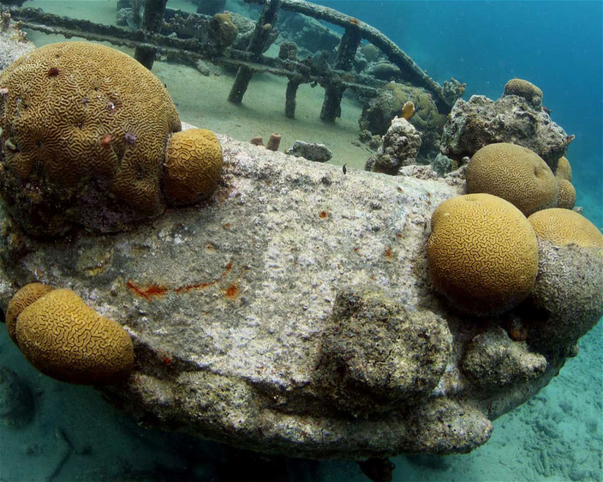 Scubaçao, Willemstad