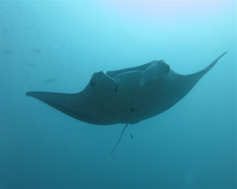 Divesite Image