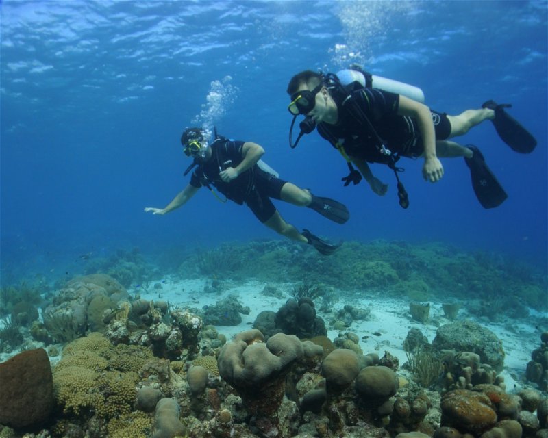 Divesite Image