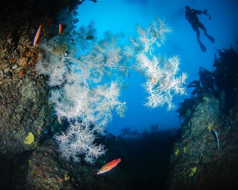 Divesite Image