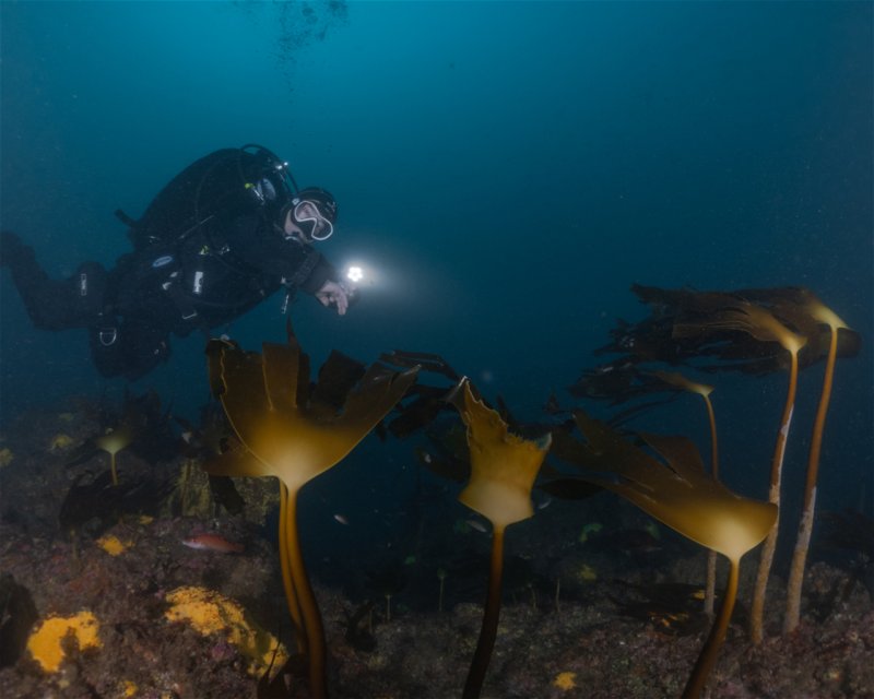 Divesite Image