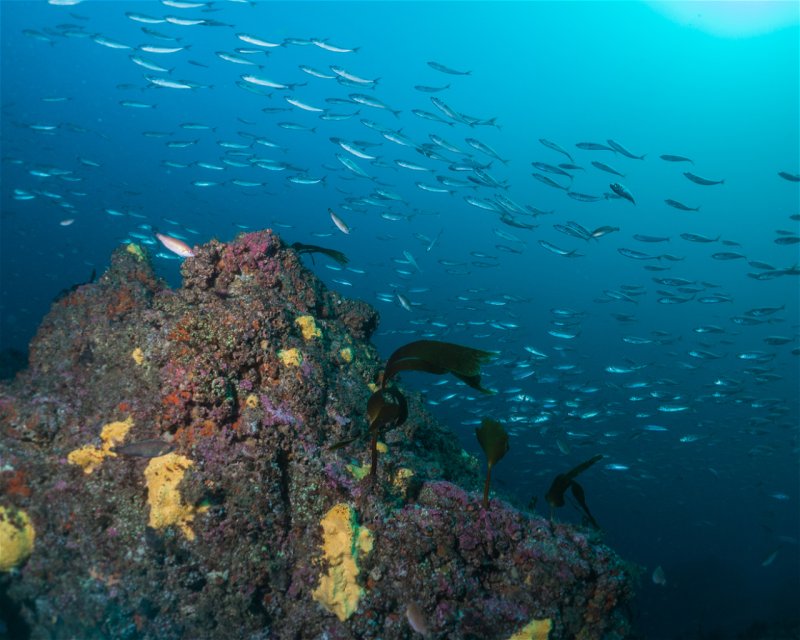 Divesite Image