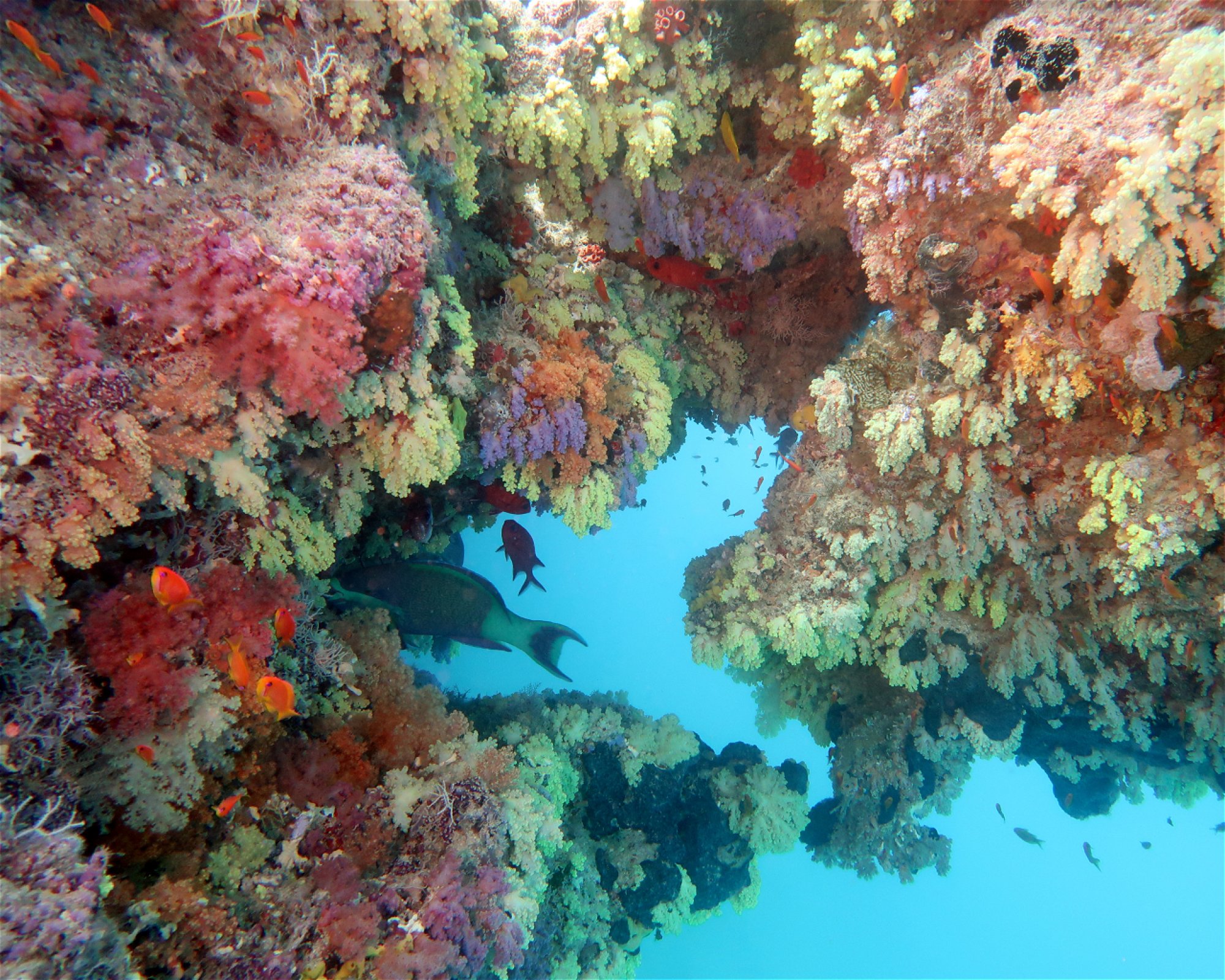 DivePoint Hudhuran Fushi, 20193 Male