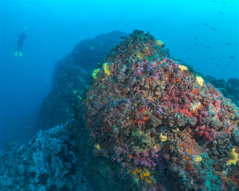 Divesite Image