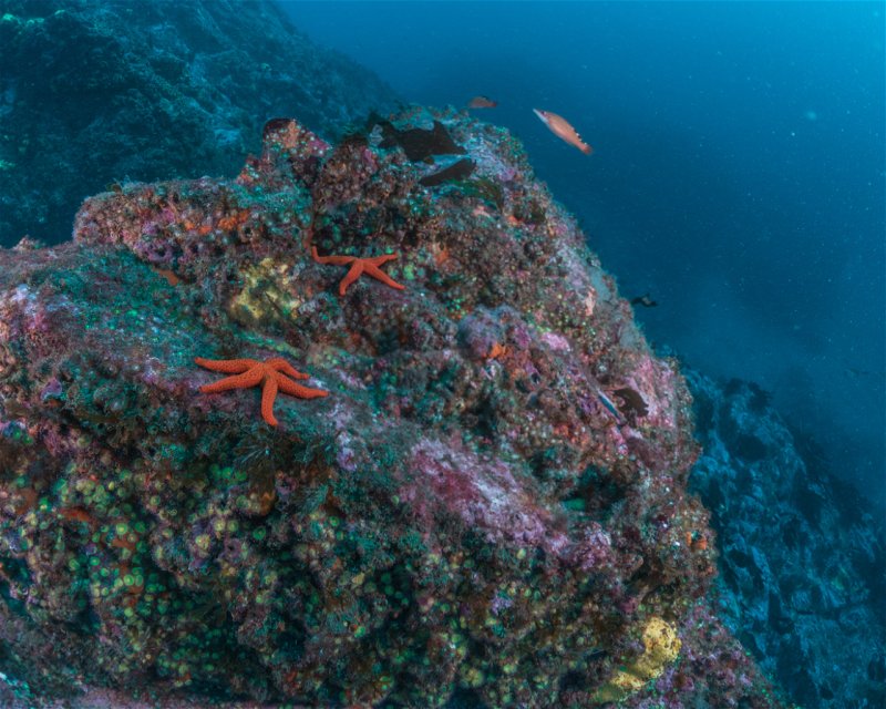 Divesite Image