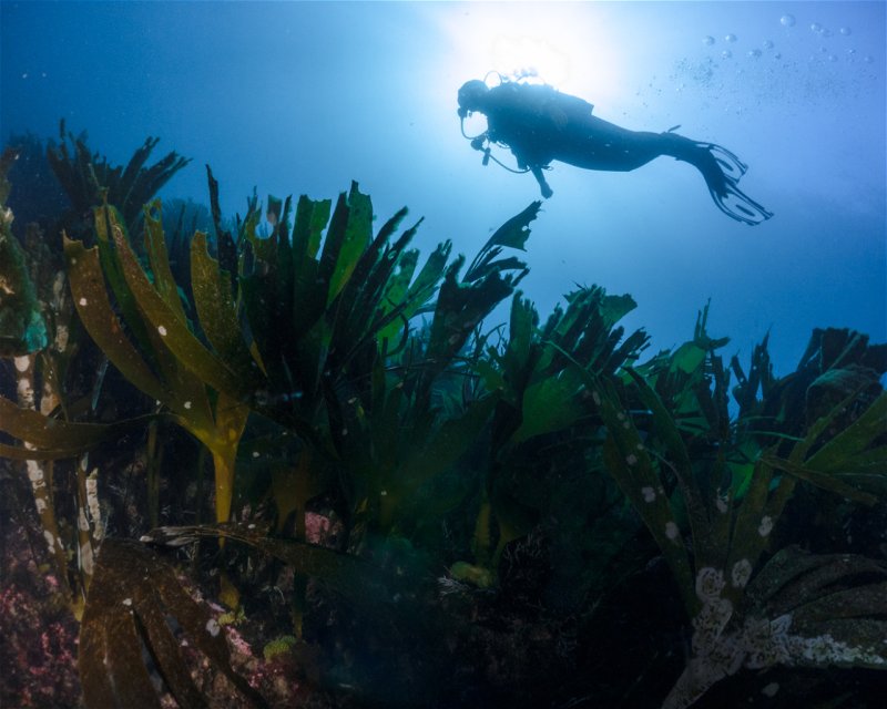 Divesite Image