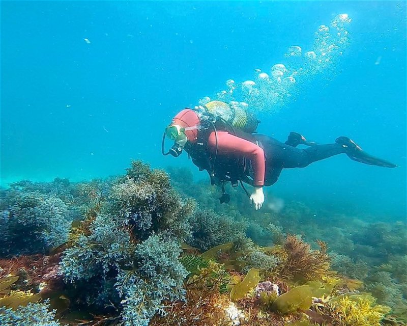 Divesite Image