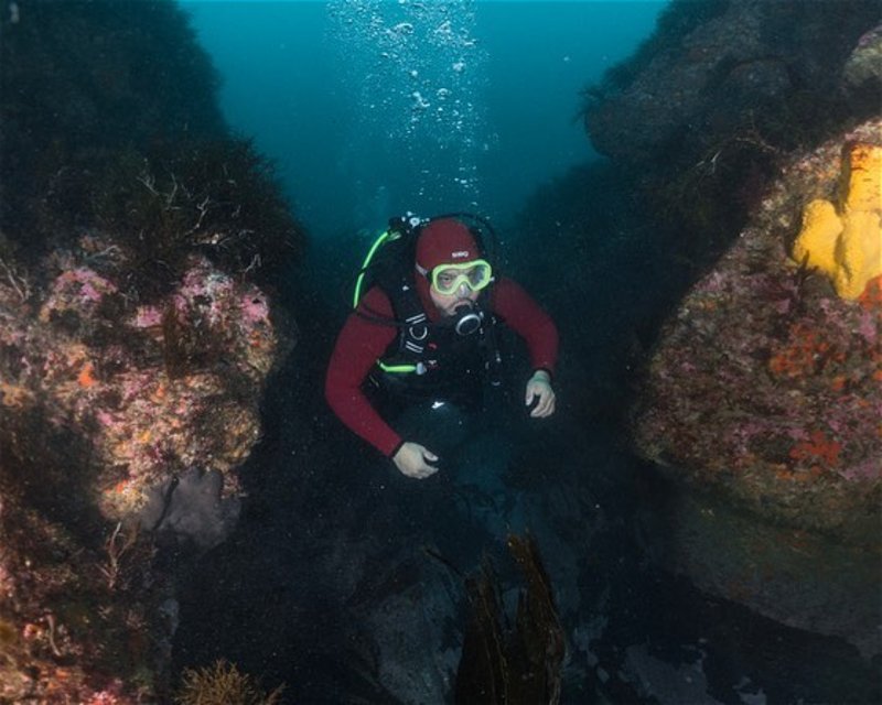 Divesite Image