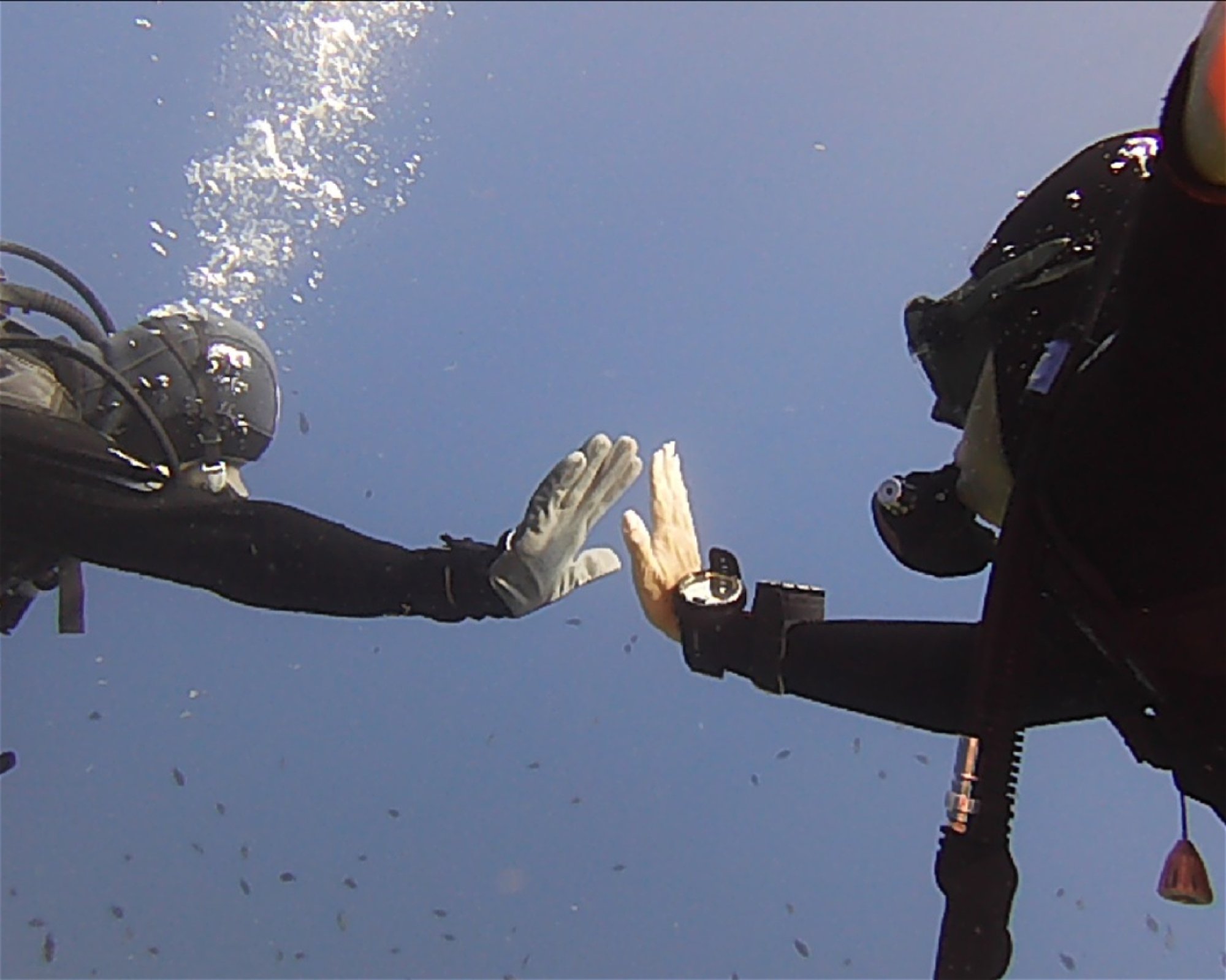 POSEIDON DIVING CENTER, 07041 Alghero