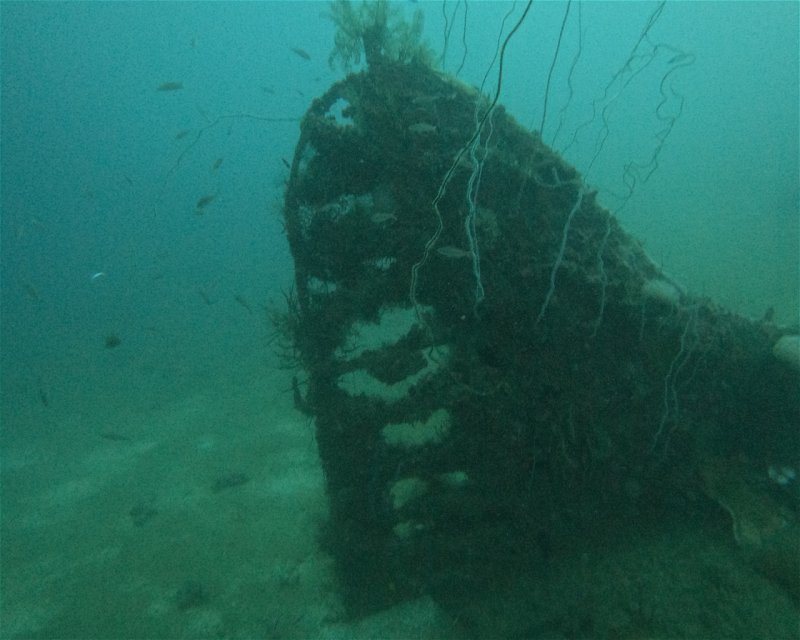 Divesite Image
