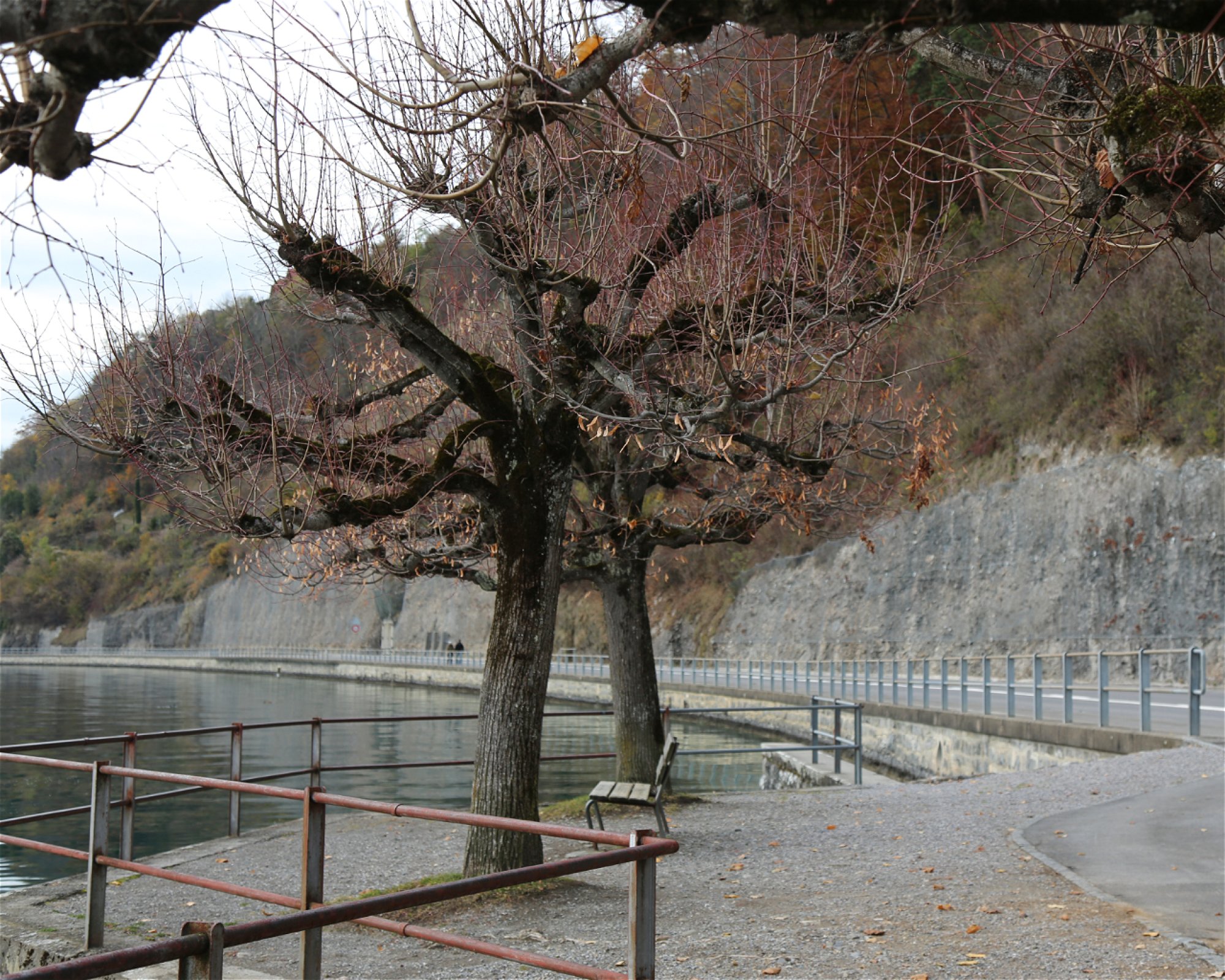 Dive Center Thunersee, 3652 Hilterfingen