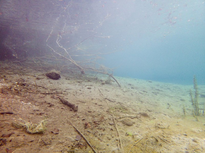Divesite Image