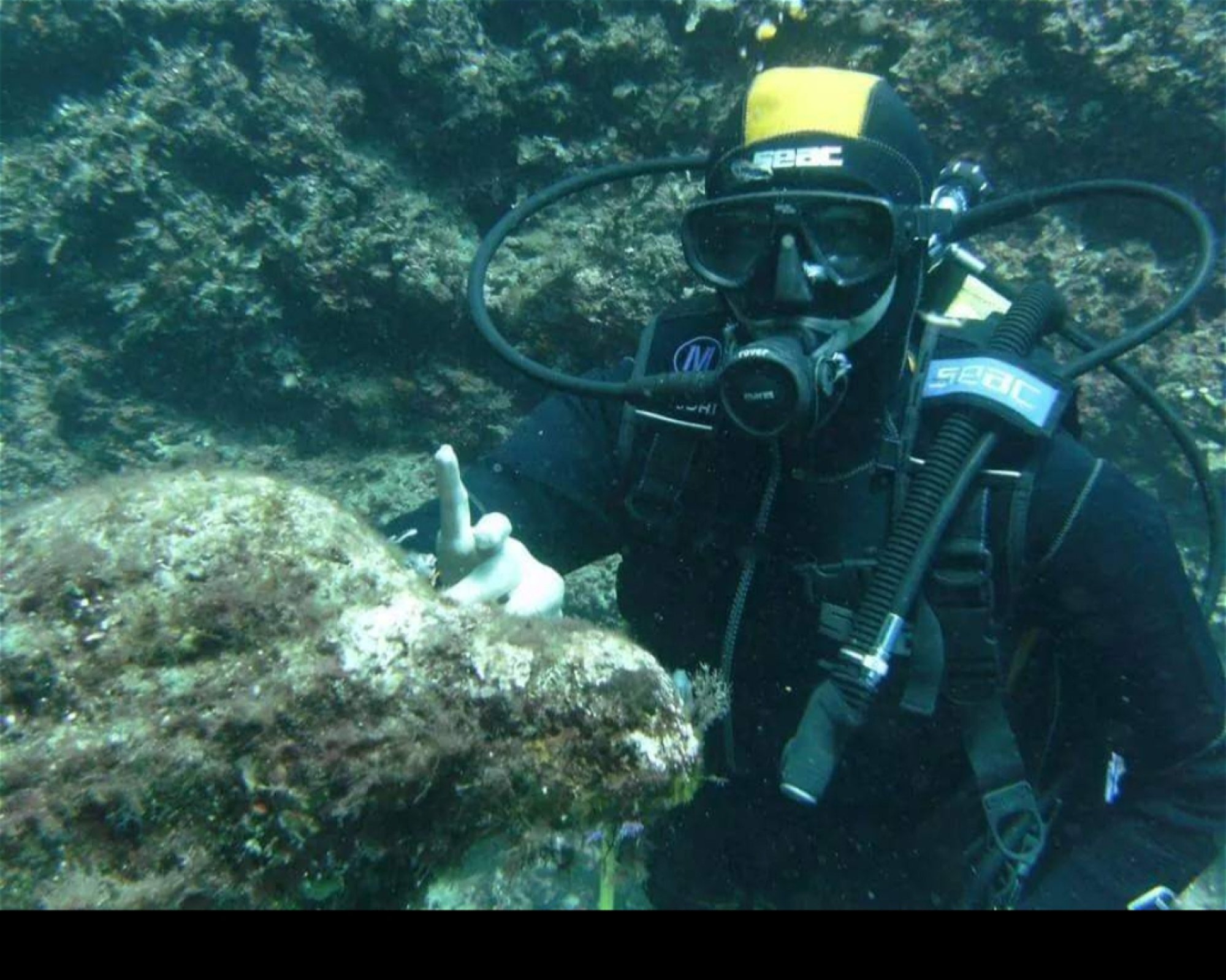 POSEIDON DIVING CENTER, 07041 Alghero