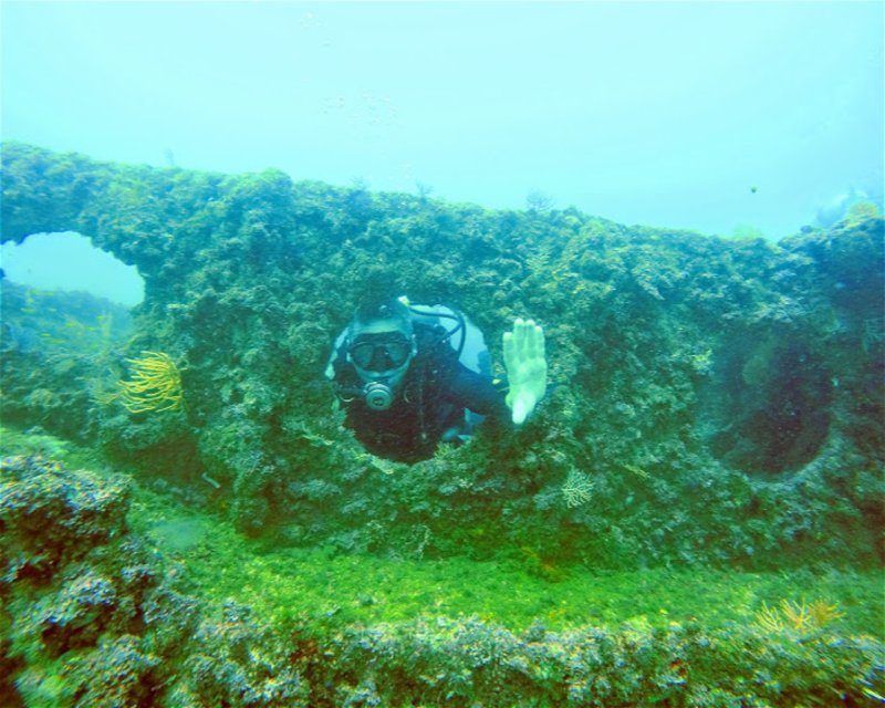Divesite Image