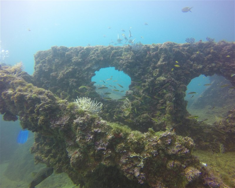 Divesite Image
