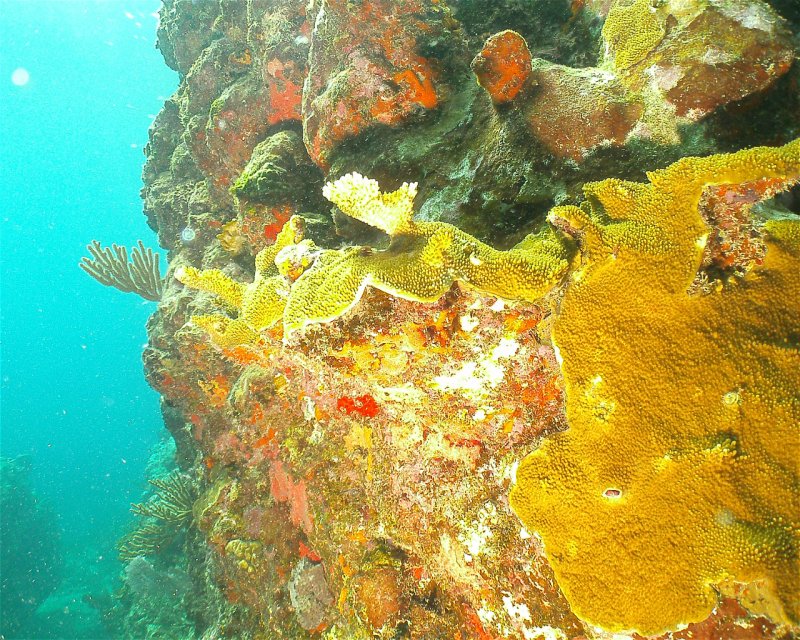 Divesite Image