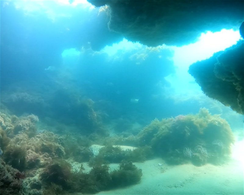 Divesite Image
