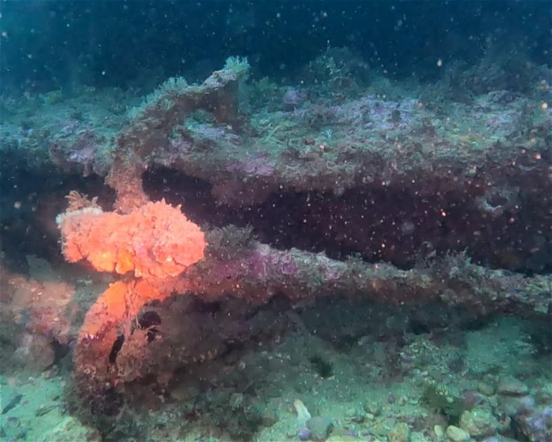 Divesite Image
