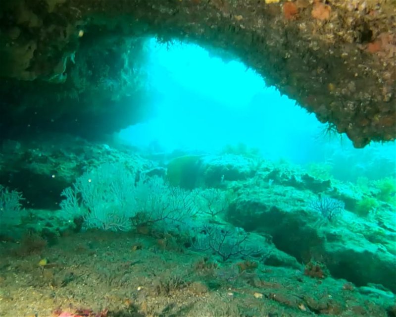 Divesite Image