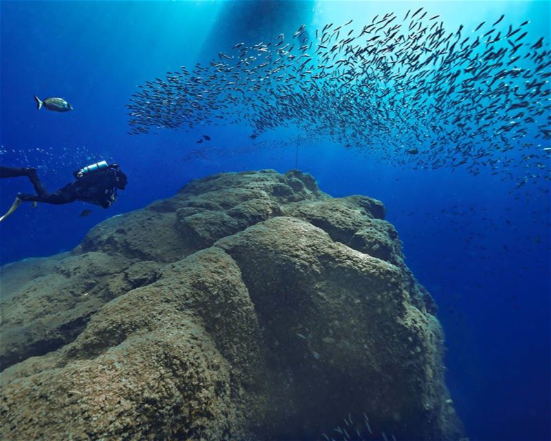 Divesite Image