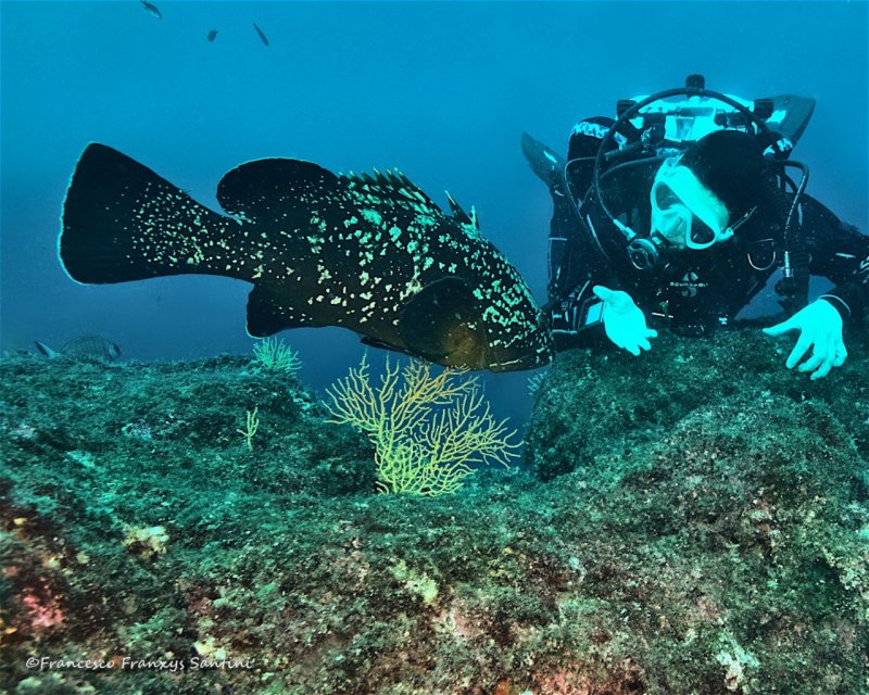 Divesite Image