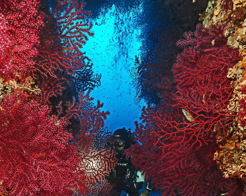 Divesite Image