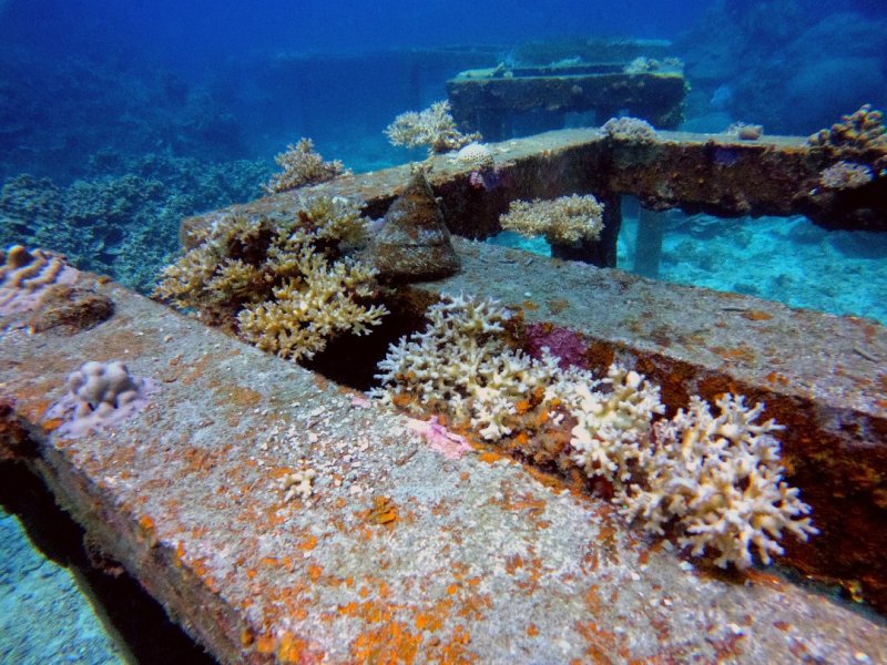 Divesite Image