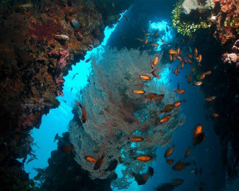 Divesite Image