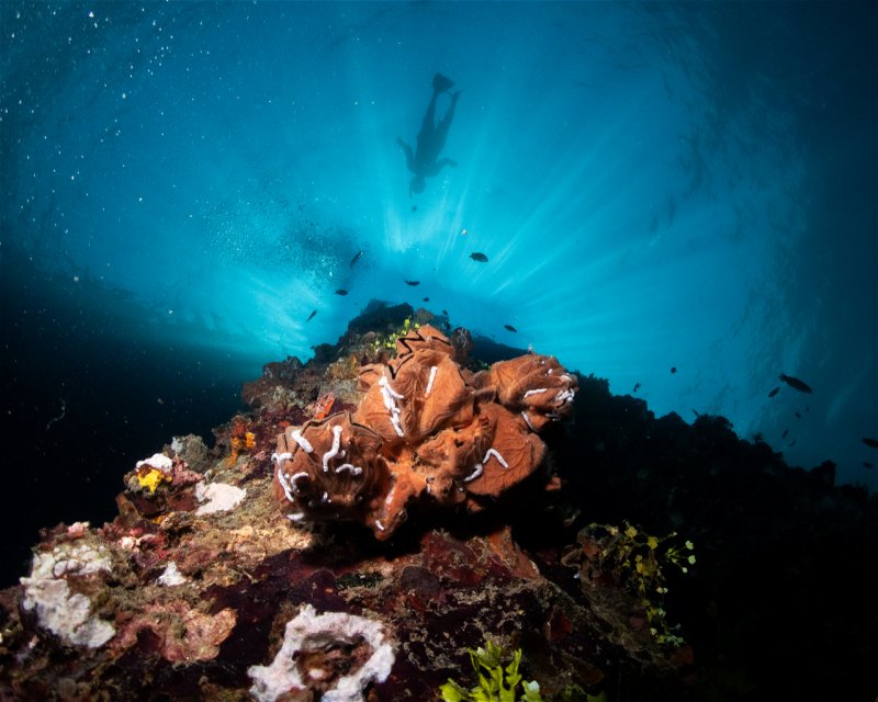 Divesite Image