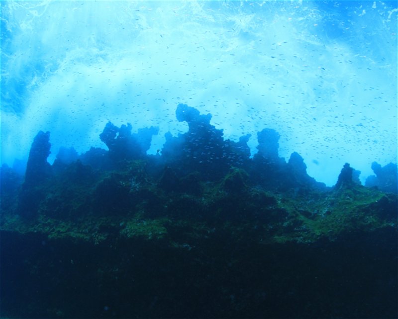 Divesite Image