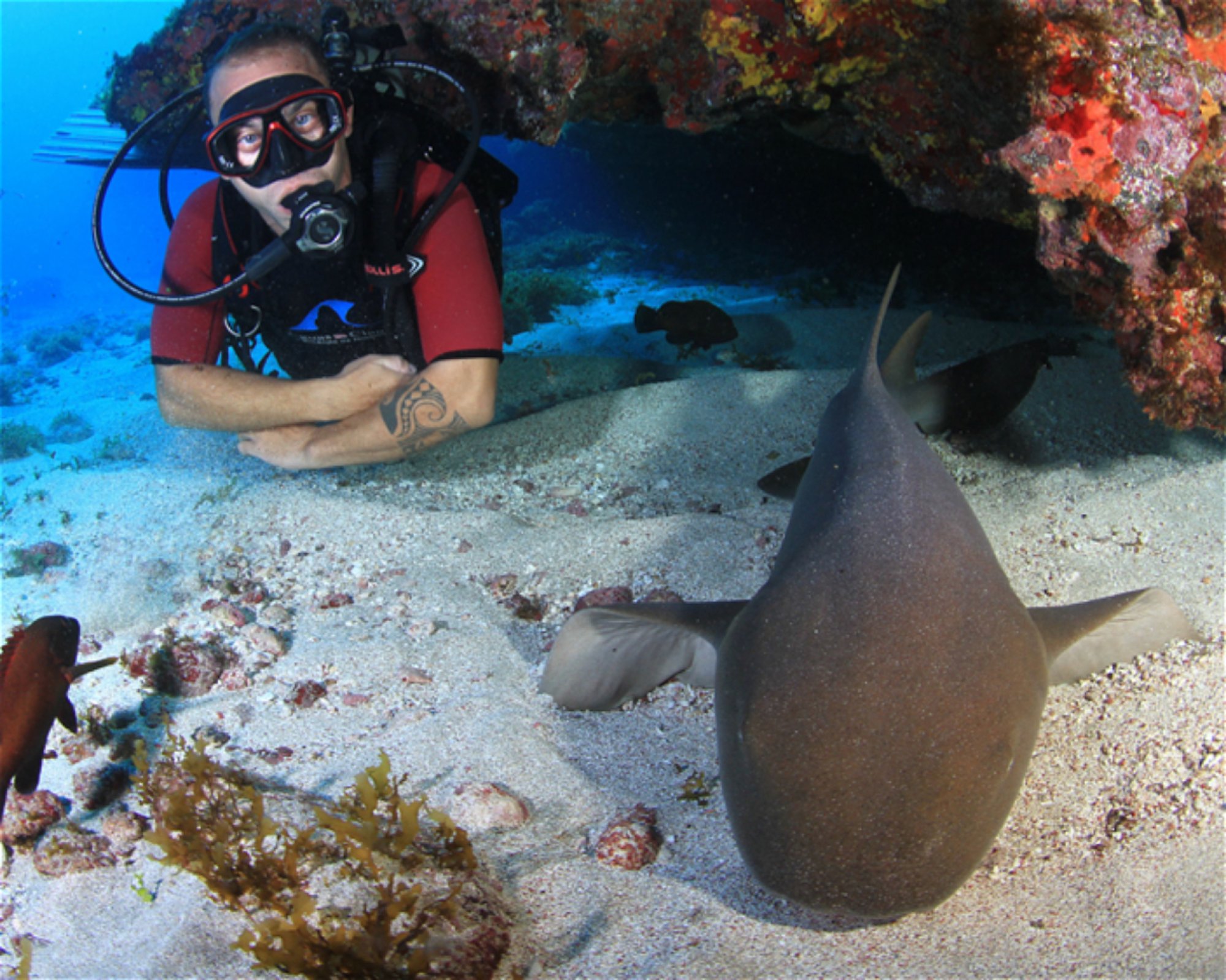 CNM DIVE, 13211-698 JUNDIAI