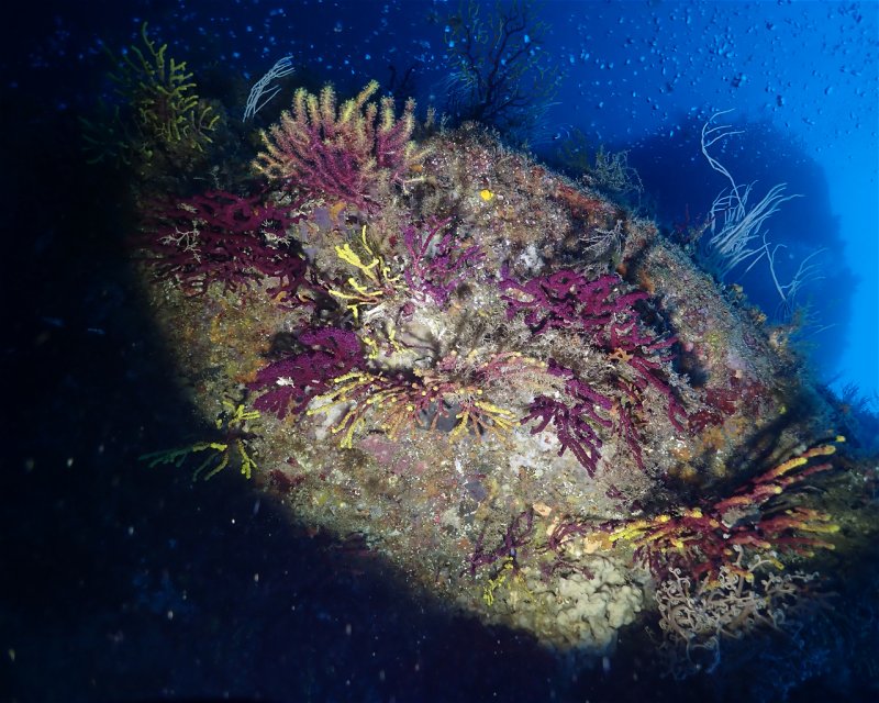 Divesite Image