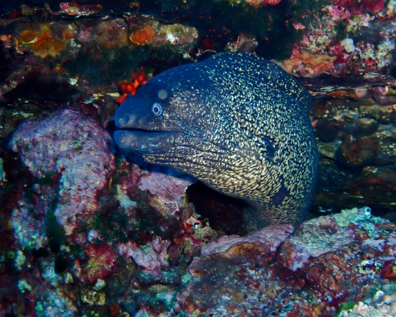 Divesite Image