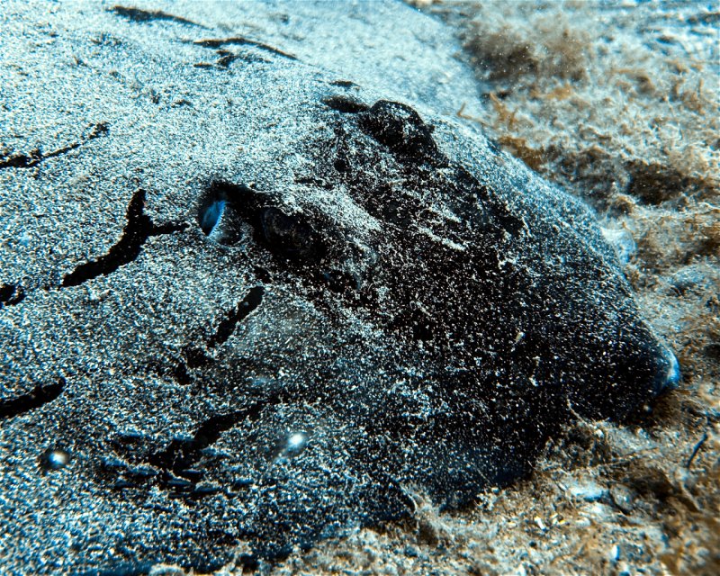 Divesite Image