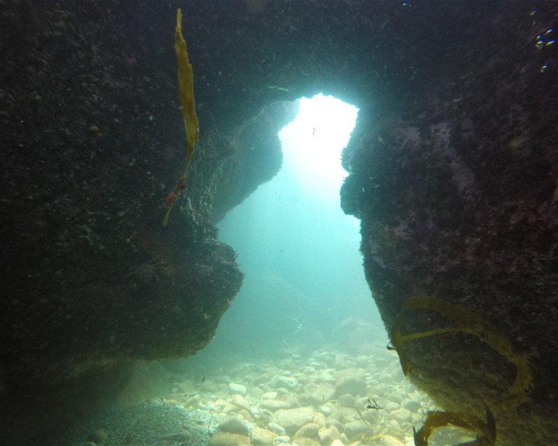 Divesite Image