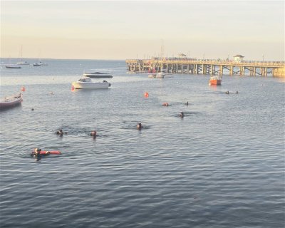 Swanage Pier <span class="text-color-primary text-sm"> (★4.1)</span>