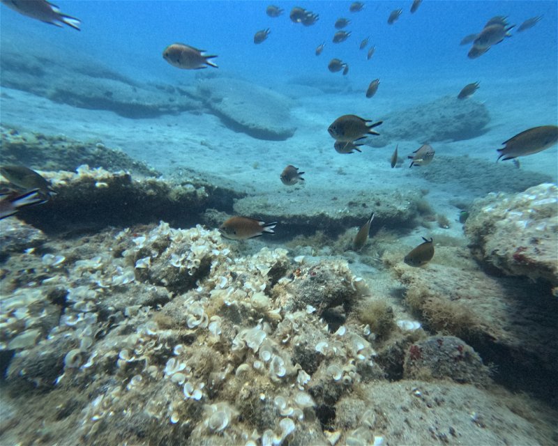 Divesite Image