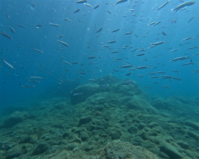 Divesite Image