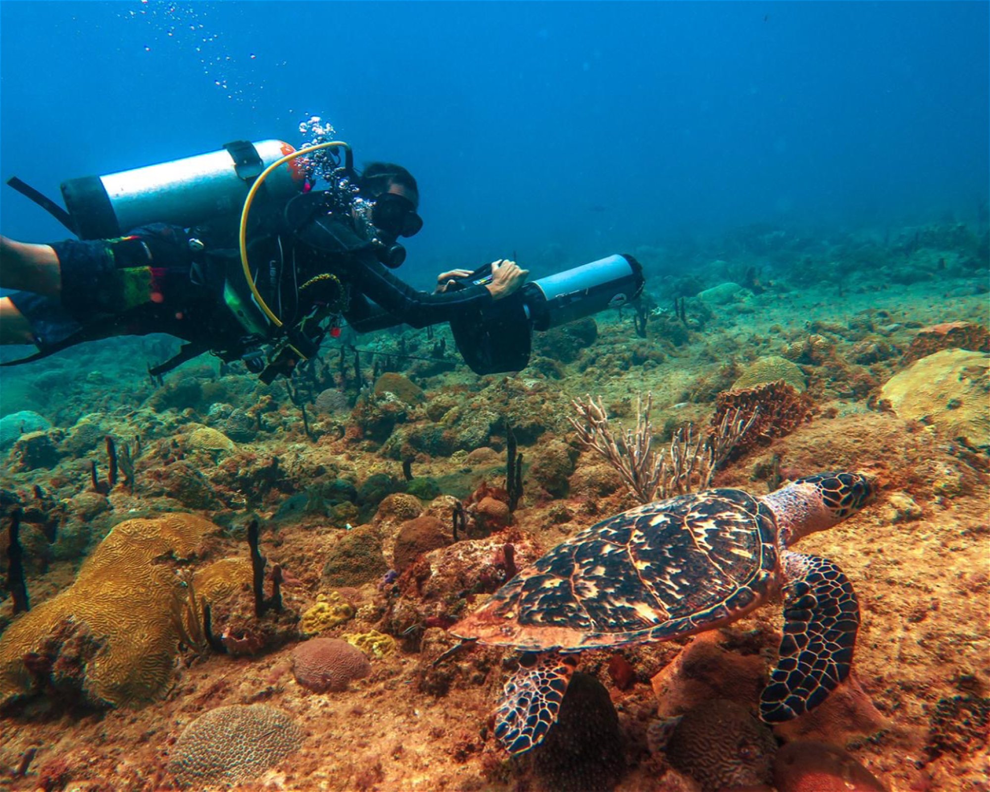 Aquatica Underwater Adventures, 00603 Aguadilla